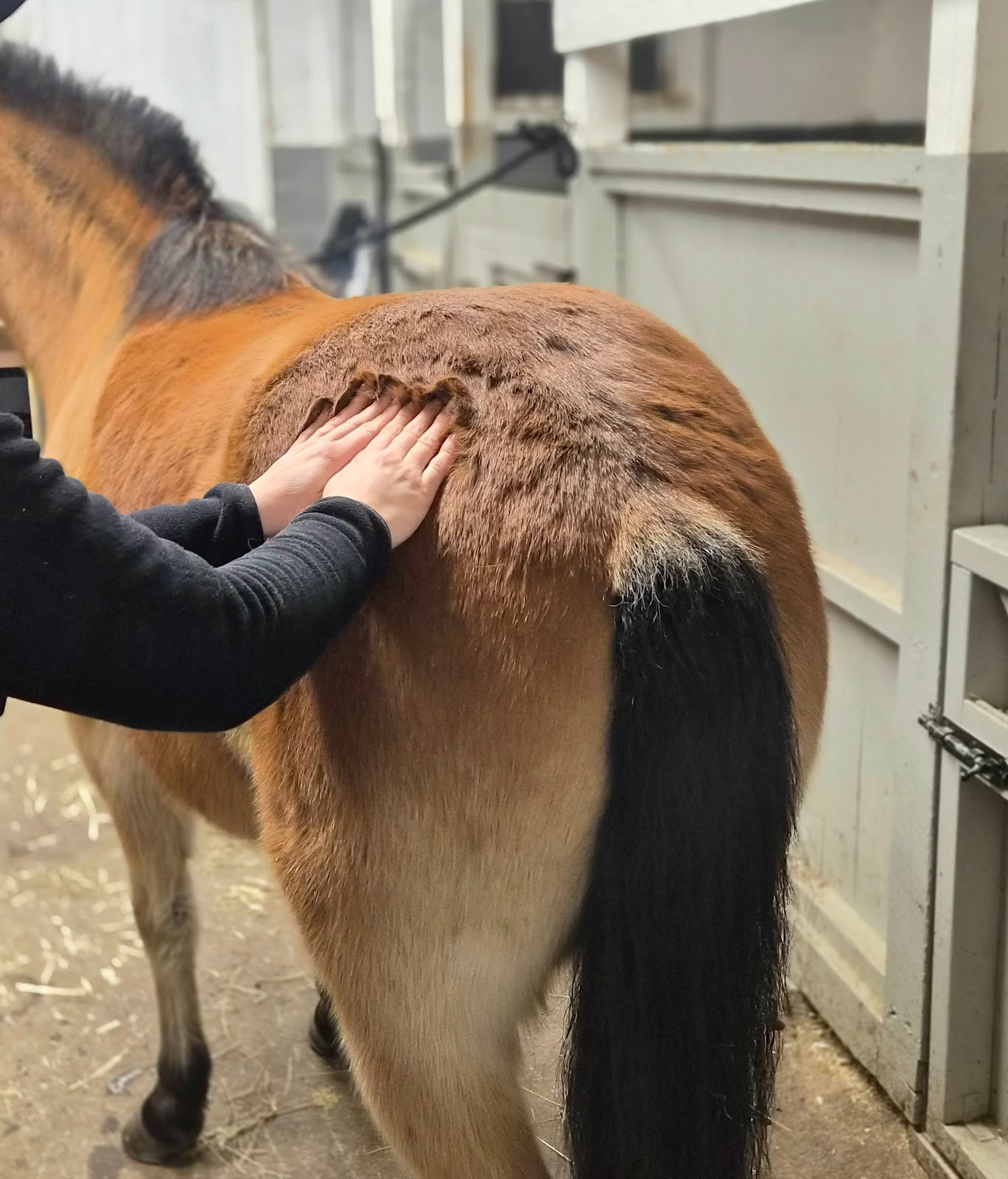 Lymfmassage - Lymfmassage hjälper kroppen att transportera bort slaggprodukter och överflödig vätska. Behandlingen är särskilt bra vid svullnader, stelhet och för att påskynda återhämtning efter träning eller skada.