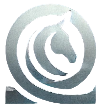 Enigma Logo